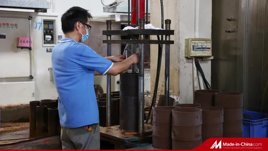 Pump Hydraulic Peek Spring Energized Seals